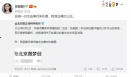 张颖颖被人爆料视频,真相与争议