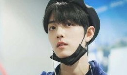 今天热点爆料肖战视频下载,揭秘背后真相与热议