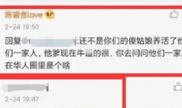 美国华人圈最新爆料,最新爆料引发热议